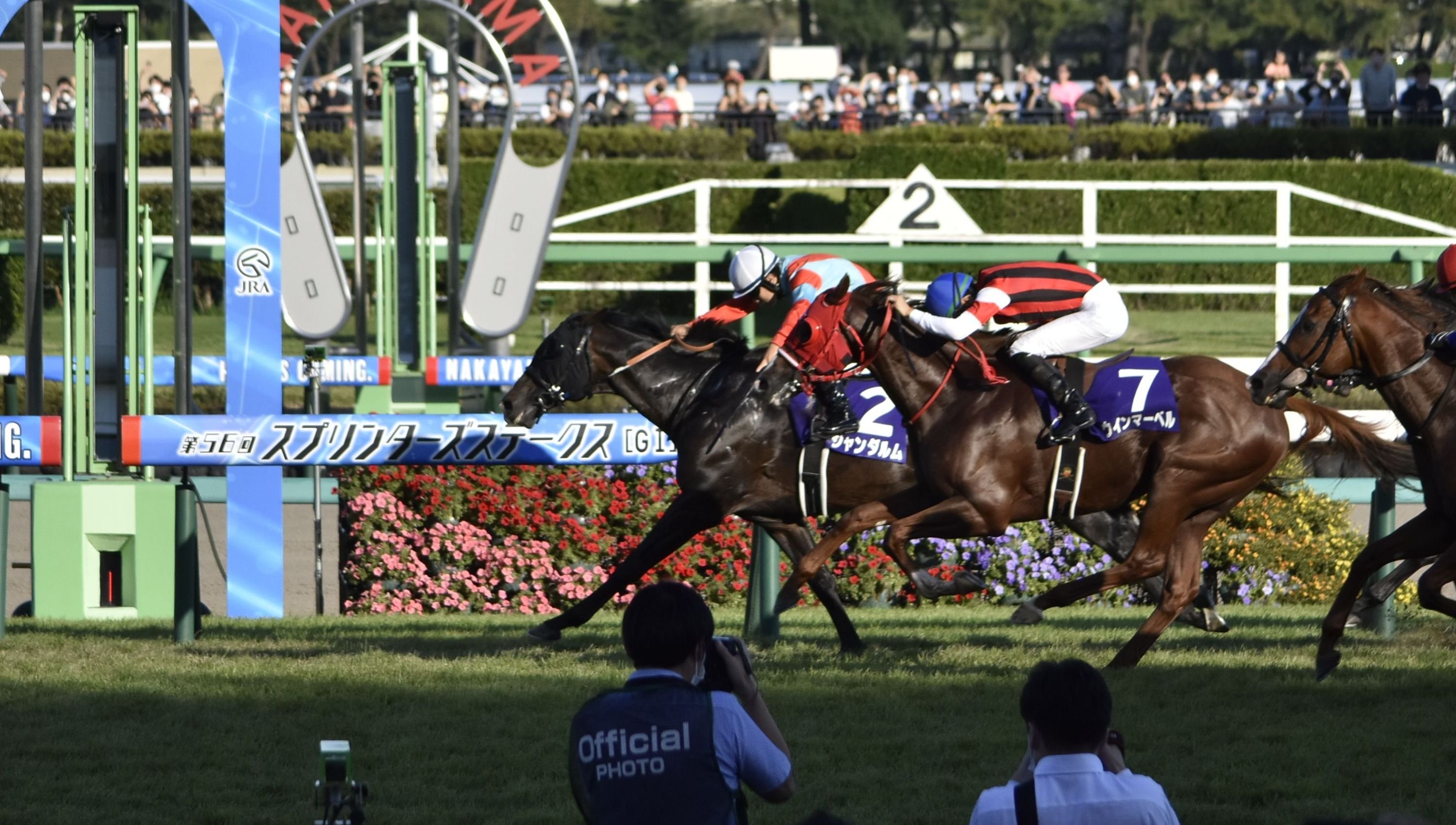 🏇 나카야마 경마장 이미지 8